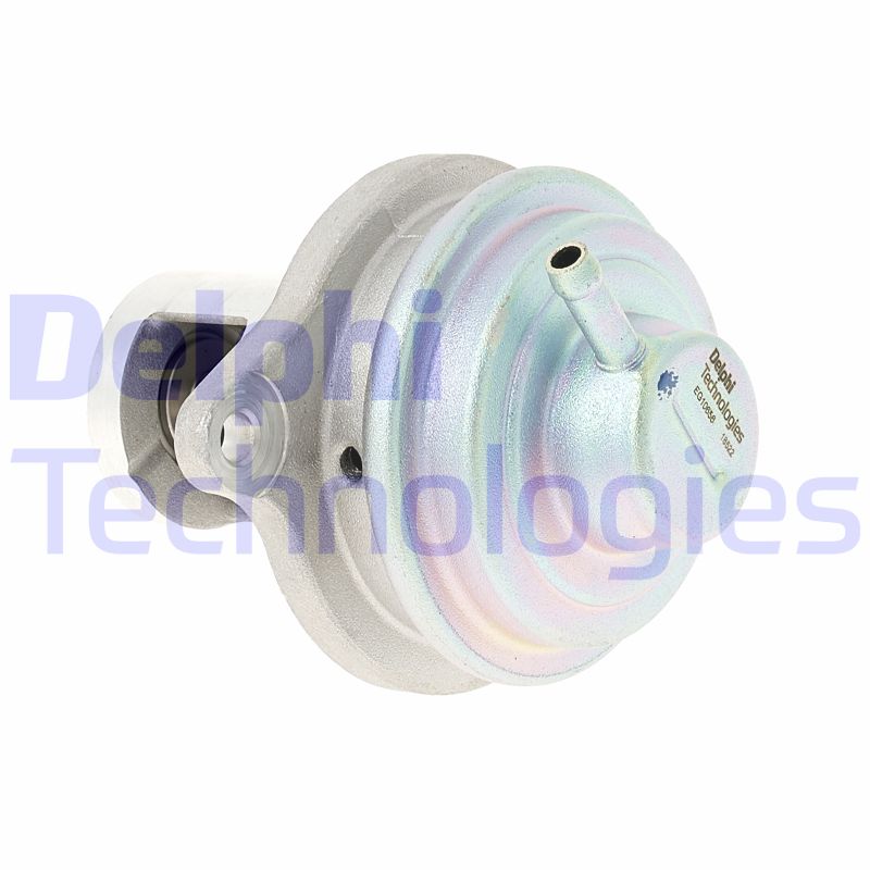 EGR Valve (EG10656-12B1)