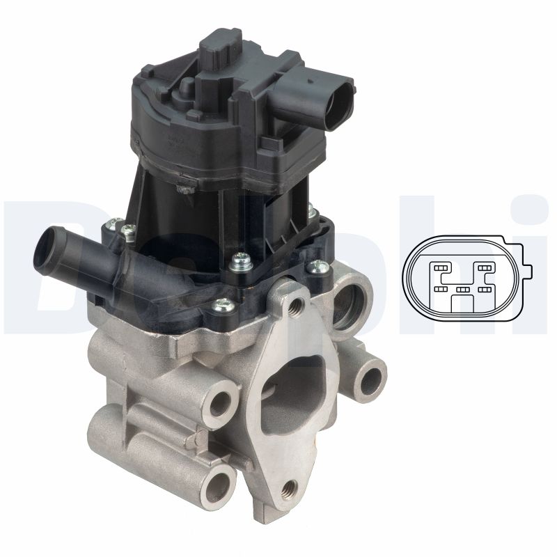 EGR Valve (EG10612-12B1)