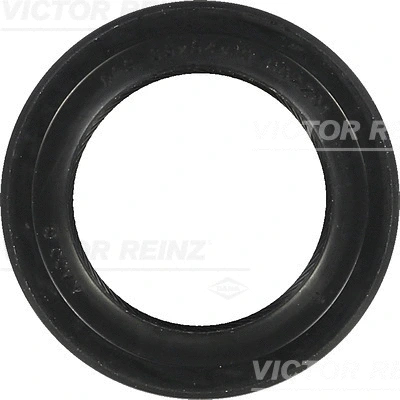 Shaft Seal, crankshaft (81-24289-00)
