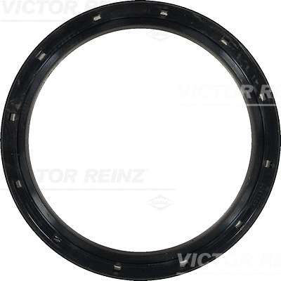Shaft Seal, crankshaft (81-36556-00)
