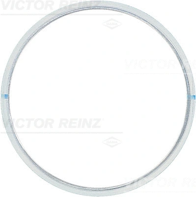 Gasket, cylinder head (61-21925-00)