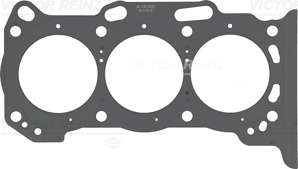 Gasket, cylinder head (61-54250-00)