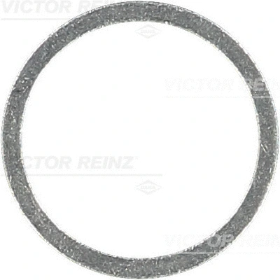 Seal Ring (41-71072-00)