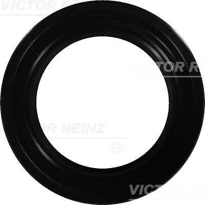 Shaft Seal, crankshaft (81-21001-10)