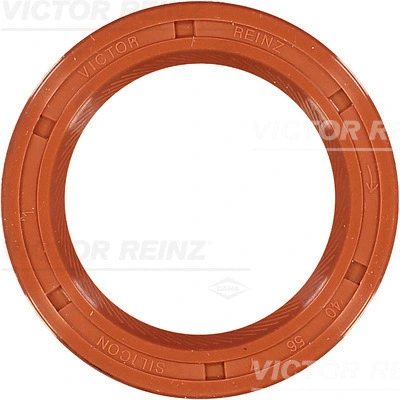 Shaft Seal, camshaft (81-21087-20)