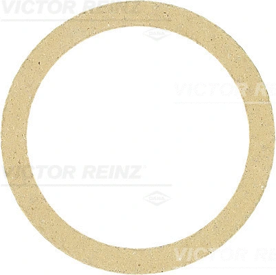 Gasket, exhaust pipe (71-34244-00)