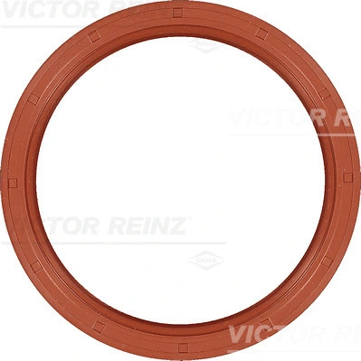 Shaft Seal, camshaft (81-35476-00)