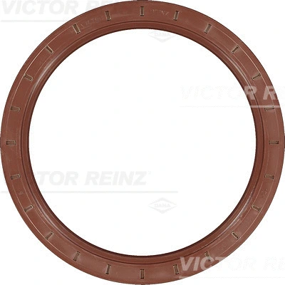 Shaft Seal, crankshaft (81-25014-10)