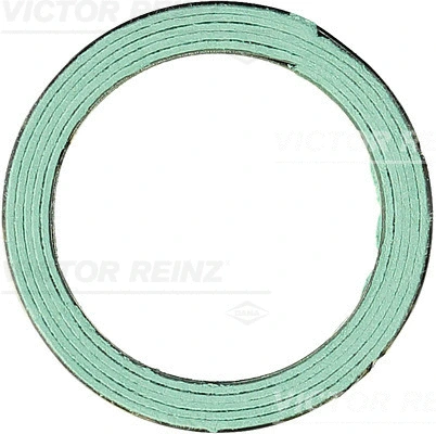 Gasket, exhaust pipe (71-52999-00)