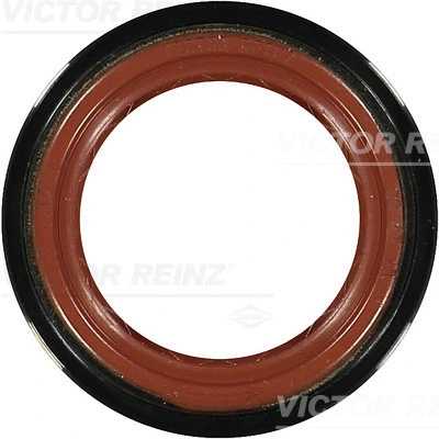 Shaft Seal, crankshaft (81-19299-10)