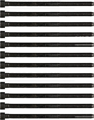 Cylinder Head Bolt Set (14-35779-01)