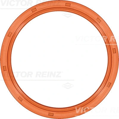 Shaft Seal, crankshaft (81-35521-00)