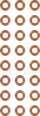 Seal Set, valve stem (12-36004-01)