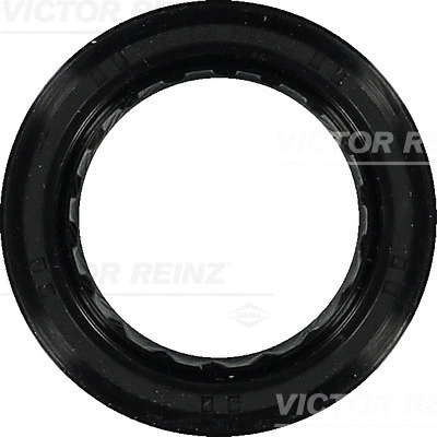 Shaft Seal, crankshaft (81-40389-00)