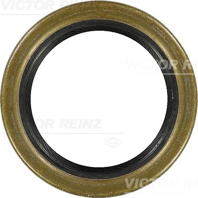 Shaft Seal, crankshaft (81-21087-10)