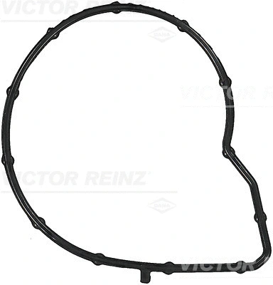 Gasket, water pump (71-15428-00)