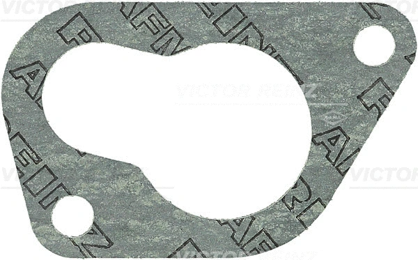 Gasket, intake manifold (71-28621-20)