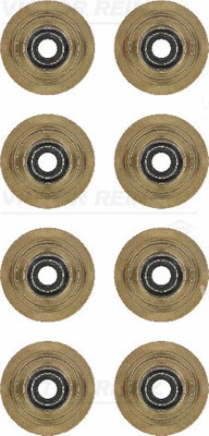 Seal Set, valve stem (12-31056-01)