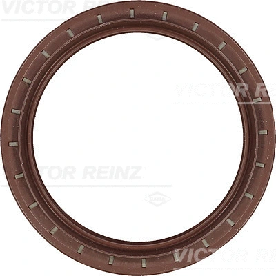 Shaft Seal, camshaft (81-35101-00)