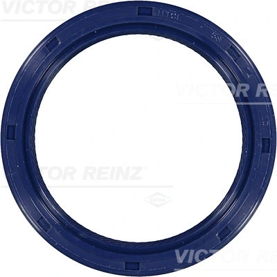 Shaft Seal, crankshaft (81-53293-00)