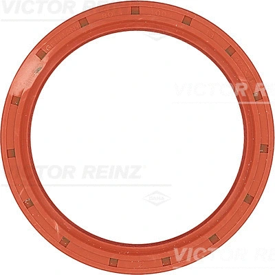 Shaft Seal, crankshaft (81-18304-00)