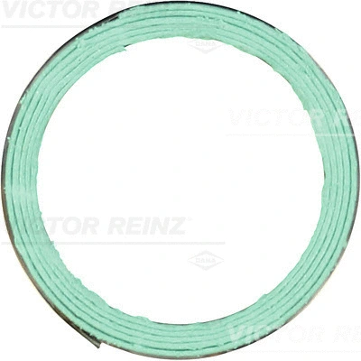 Gasket, exhaust pipe (71-53014-00)