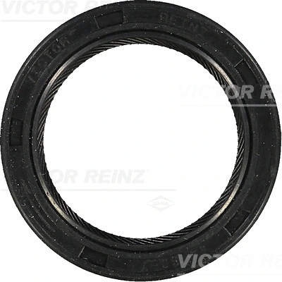 Shaft Seal, crankshaft (81-53279-00)