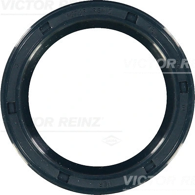 Shaft Seal, crankshaft (81-17404-00)
