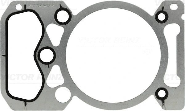 Gasket, cylinder head (61-31115-00)