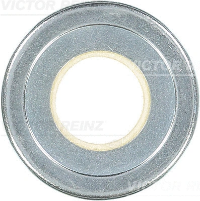 Shaft Seal, crankshaft (71-20311-00)