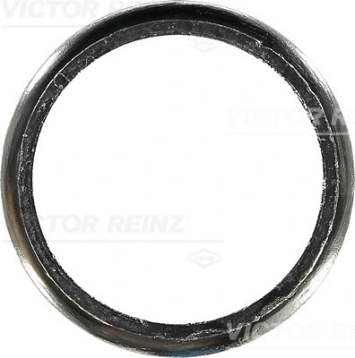 Gasket, exhaust pipe (71-10615-00)