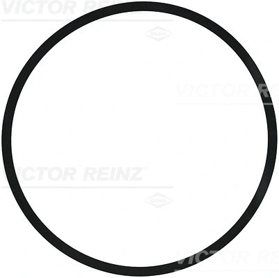 Seal Ring (40-77210-00)