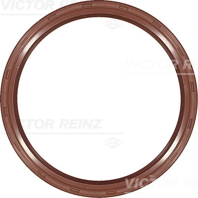 Shaft Seal, crankshaft (81-38229-00)