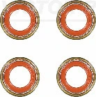 Seal Set, valve stem (12-36004-02)