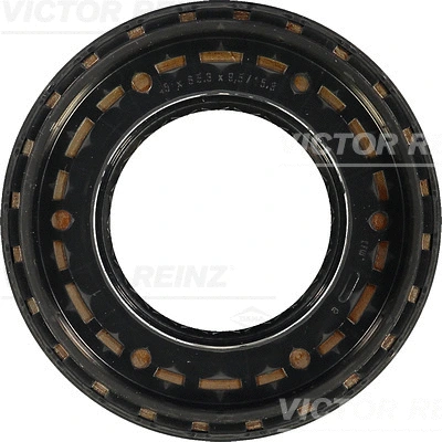 Shaft Seal, camshaft (81-35148-00)