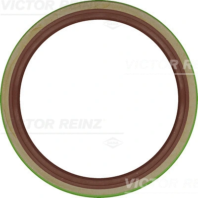 Shaft Seal, camshaft (81-20481-20)