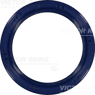 Shaft Seal, crankshaft (81-53699-00)