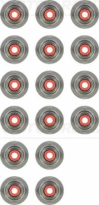 Seal Set, valve stem (12-35257-01)