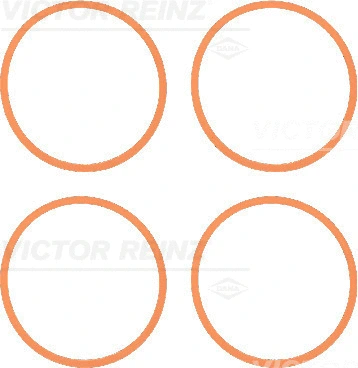 Gasket Set, intake manifold (11-37616-01)