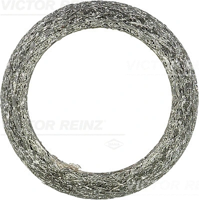 Gasket, exhaust pipe (71-26198-10)