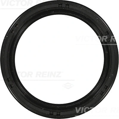 Shaft Seal, crankshaft (81-53277-00)