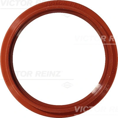 Shaft Seal, crankshaft (81-21649-00)