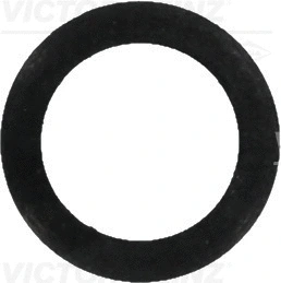 Seal Ring (40-77272-00)