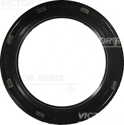 Shaft Seal, crankshaft (81-38031-00)
