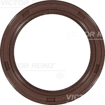 Shaft Seal, crankshaft (81-53979-00)