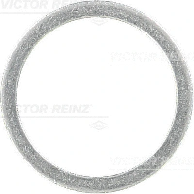Seal Ring (41-71074-00)
