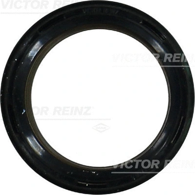 Shaft Seal, crankshaft (81-10514-00)
