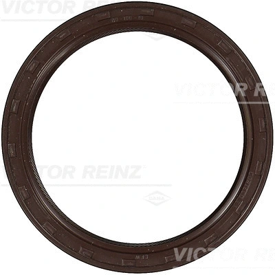 Shaft Seal, camshaft (81-35138-00)