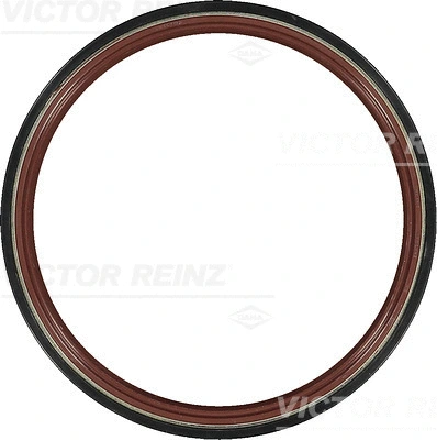Shaft Seal, camshaft (81-27294-10)