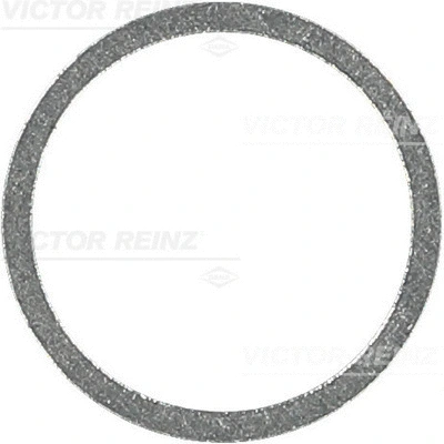Seal Ring (41-71117-00)
